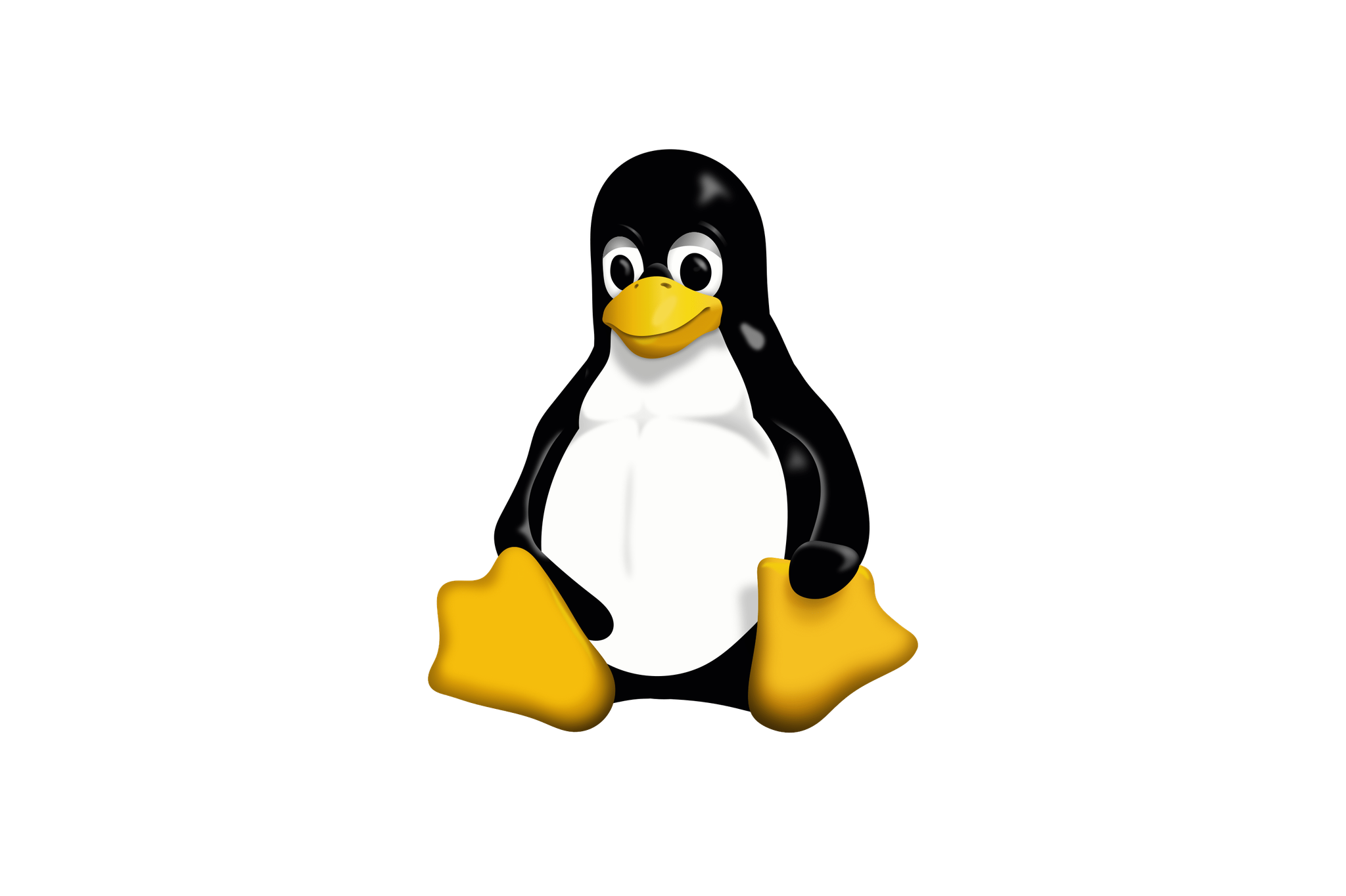 First Steps on a New Server